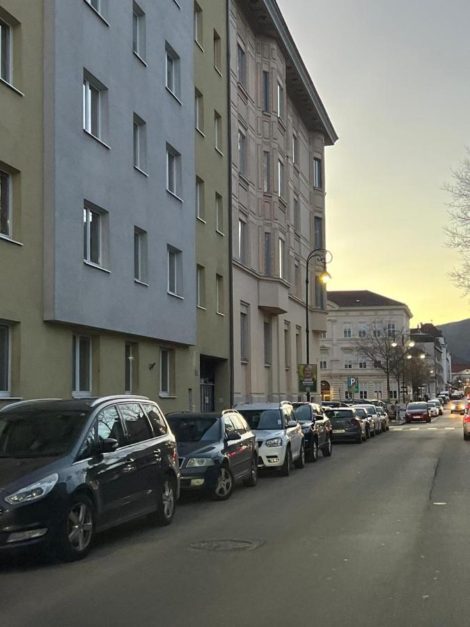 Sehr Gemutliche Wohnung Baden Bagian luar foto